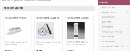 Création de contenu web pour le référencement d'un site e-commerce